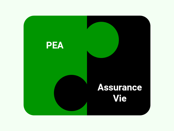 PEA et Assurance Vie : comment mieux les combiner ?